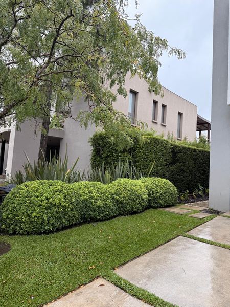 Borduras redondeadas de boj frente a una casa con césped y camino de lajas
