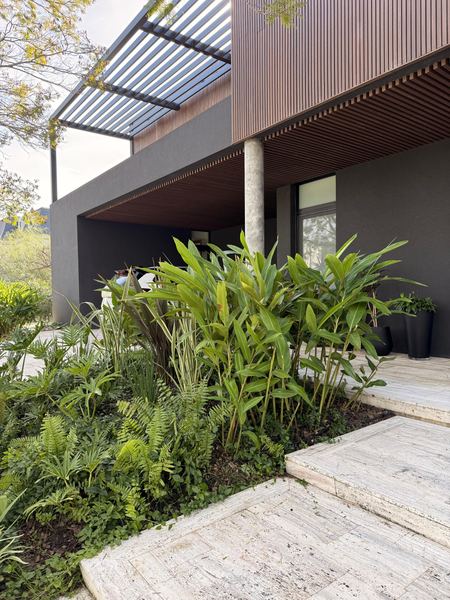 Cantero tropical con helechos y follaje junto a la entrada de una casa