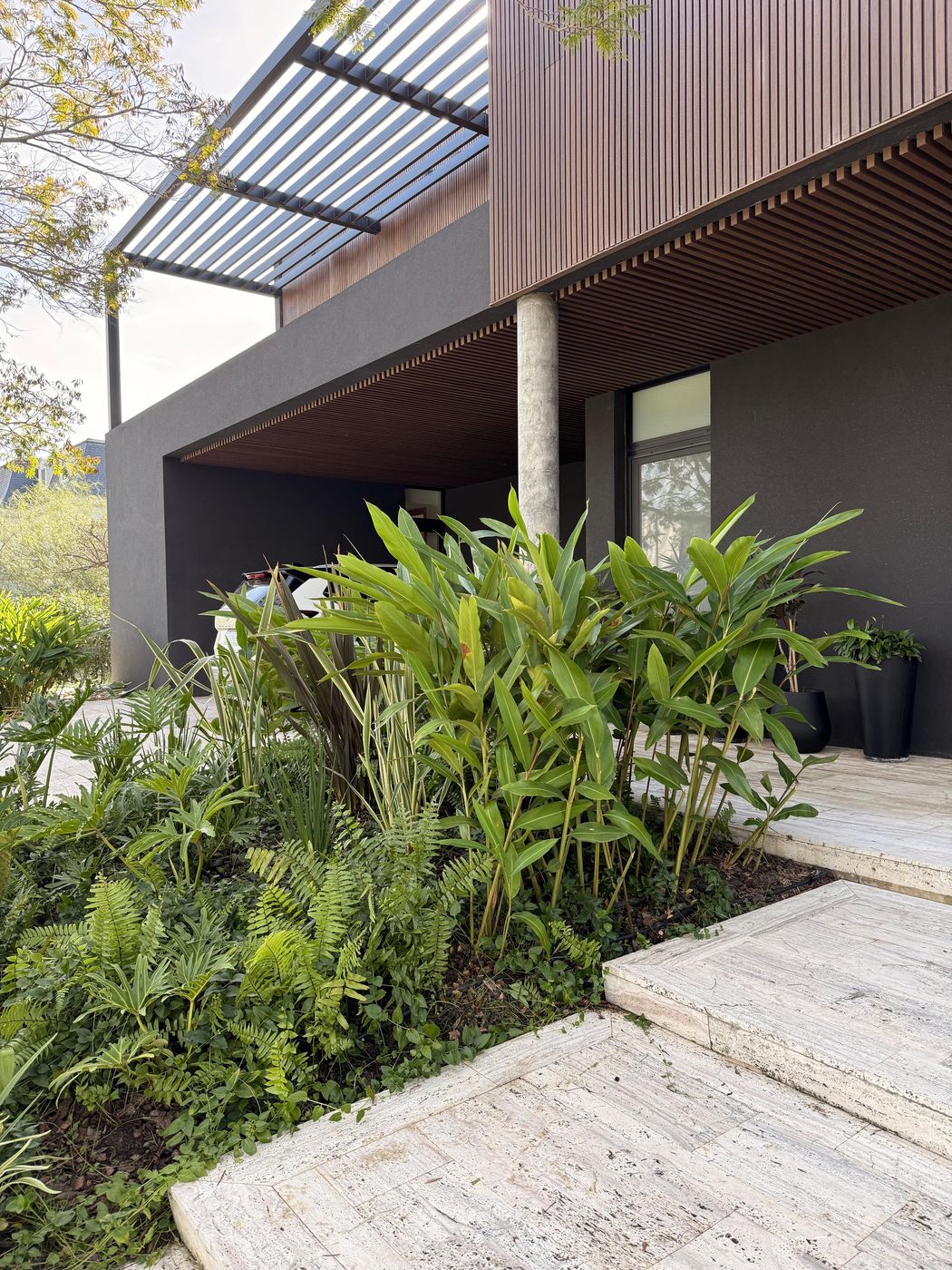 Cantero tropical con helechos y follaje junto a la entrada de una casa moderna
