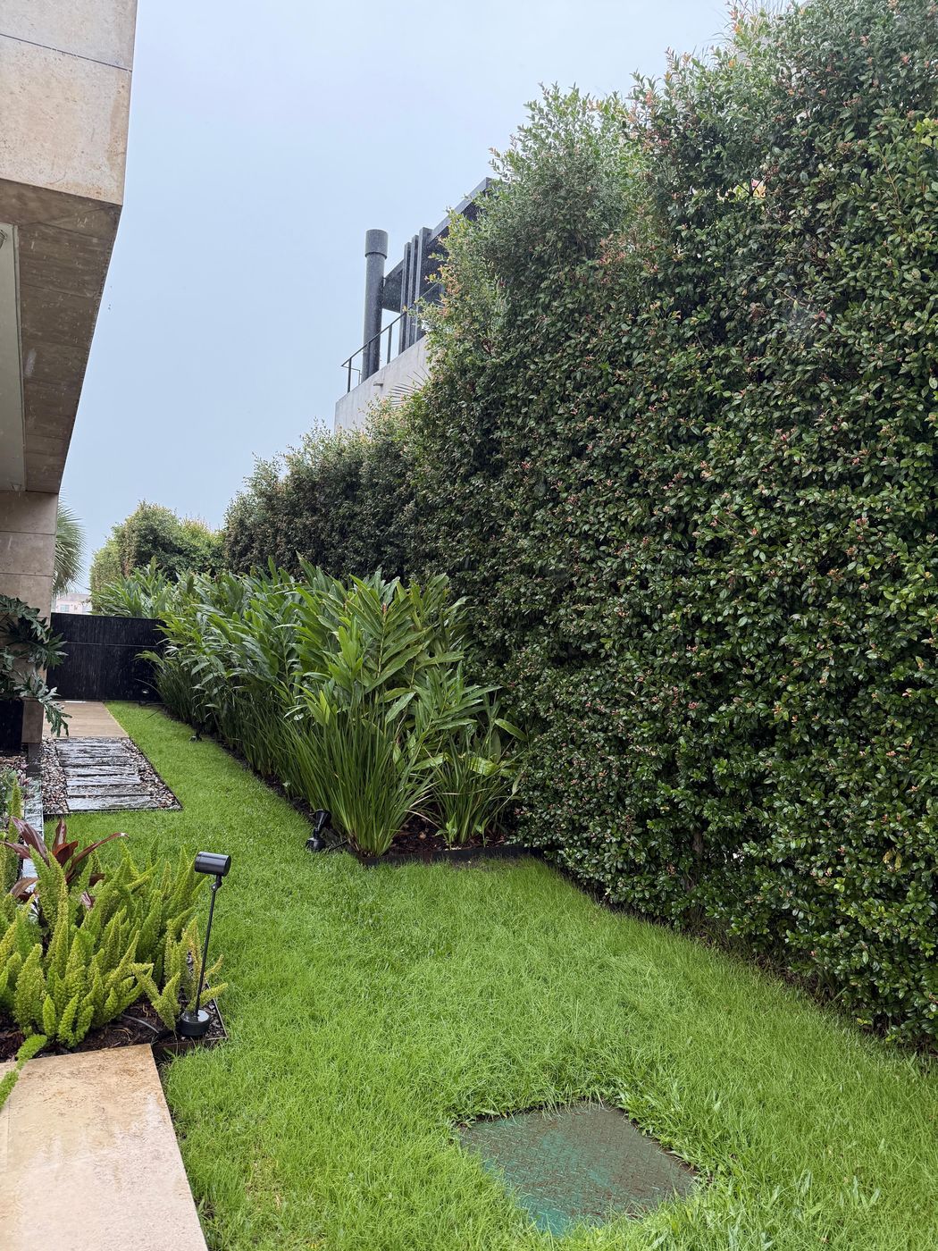 Jardín con césped verde y parejo junto a un muro cubierto de jazmín