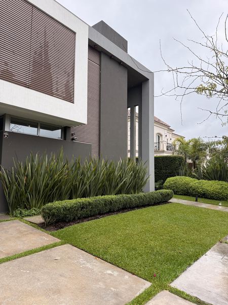 Frente de casa moderna con césped, bordura de boj y gramíneas altas